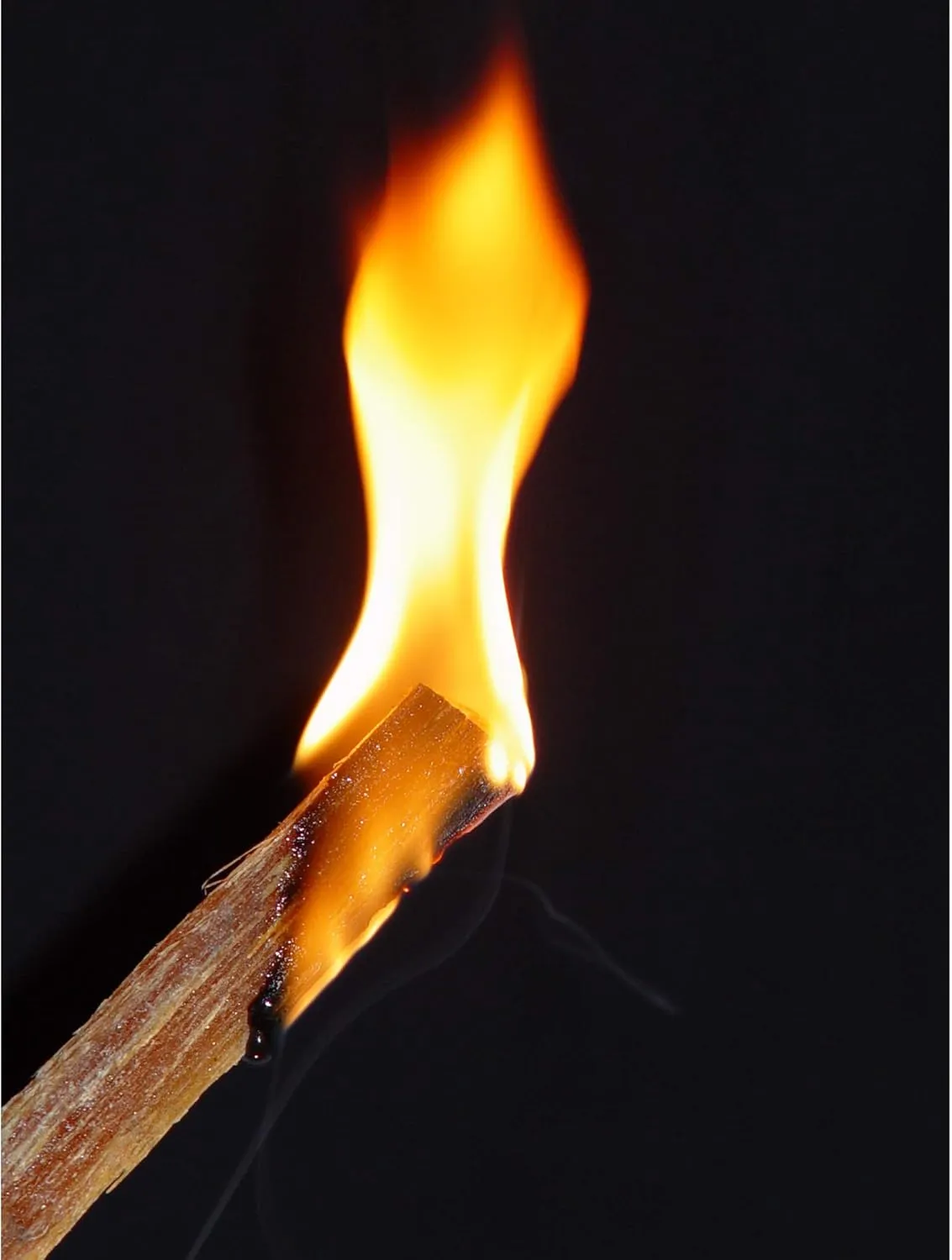 1 Pack Fatwood Fire Starter Sticks, Fireplace & Campfires, 50 Lbs