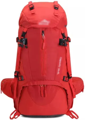 60L Mountaineering Bag Travel Backpack Outdoor Camping Rucksack Men's Backpack(Argento)