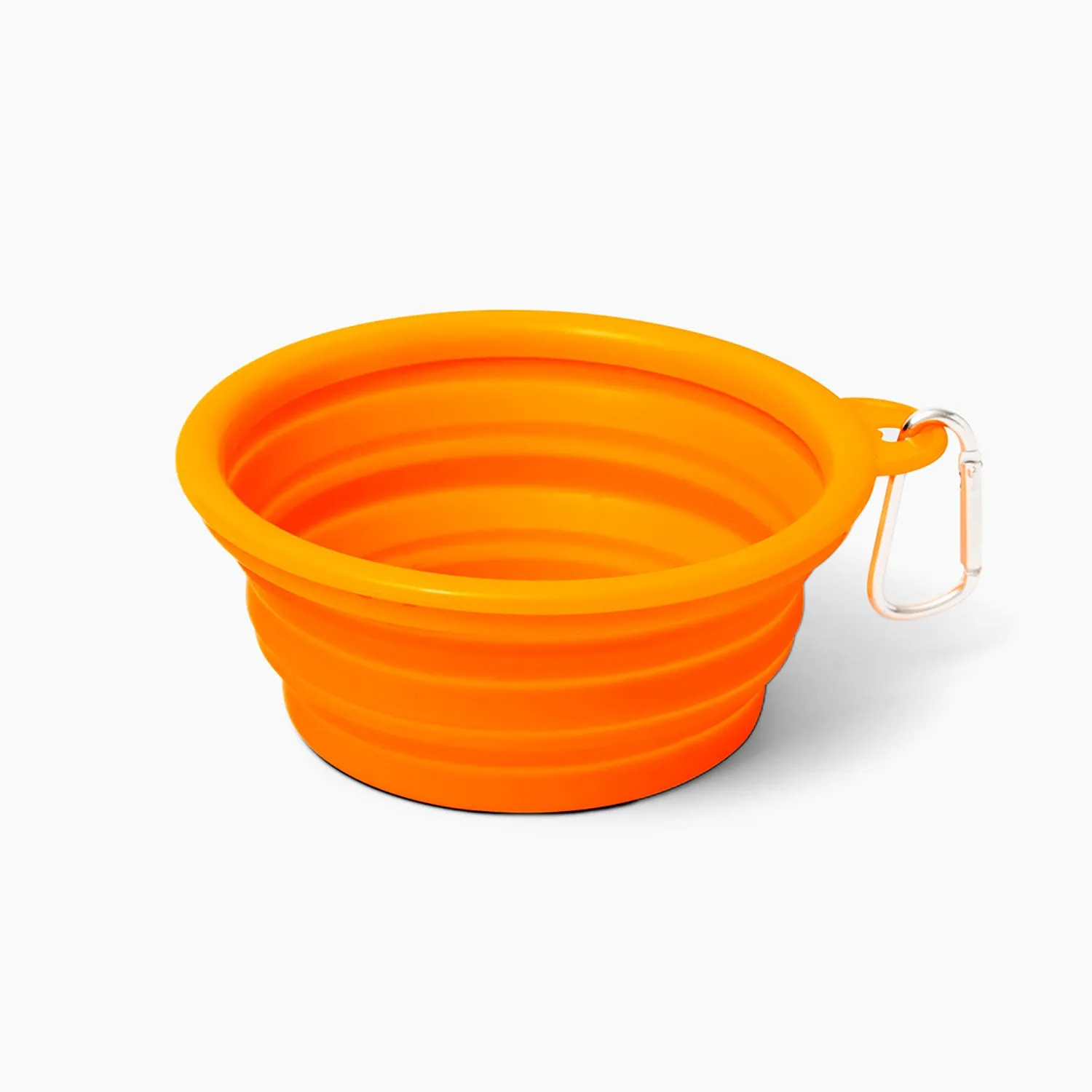 Collapsible Travel Bowl