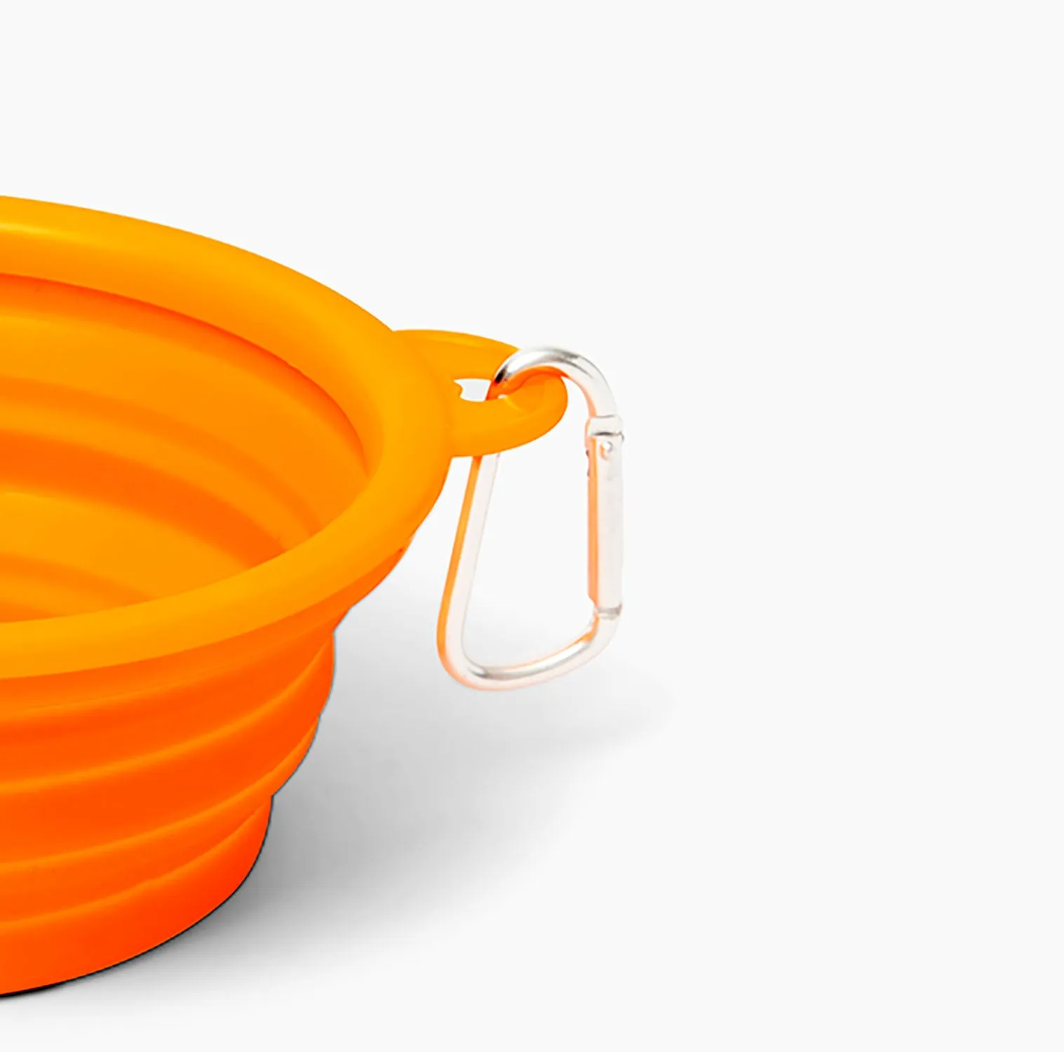 Collapsible Travel Bowl
