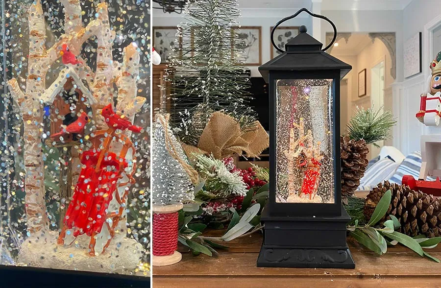 LED Lantern Snow Globe with Birdhouse