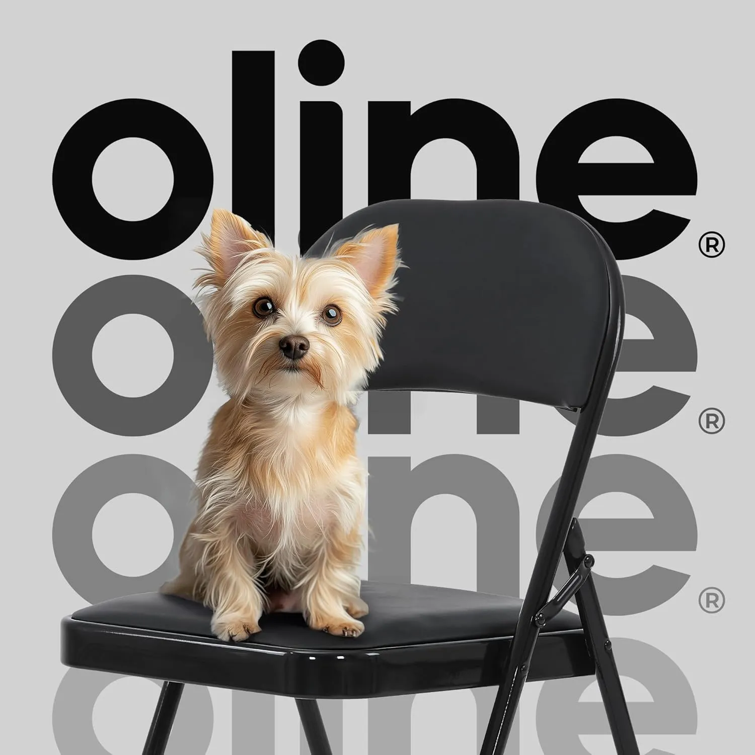 Oline Vinyl Folding Chairs, Padded Vinyl Cushion Chairs with Durable Metal Frame, Indoor Outdoor Stackable Foldable Guest Chairs for Office Wedding Kitchen Dining, 300lb Capacity (Black, 1 Pack)