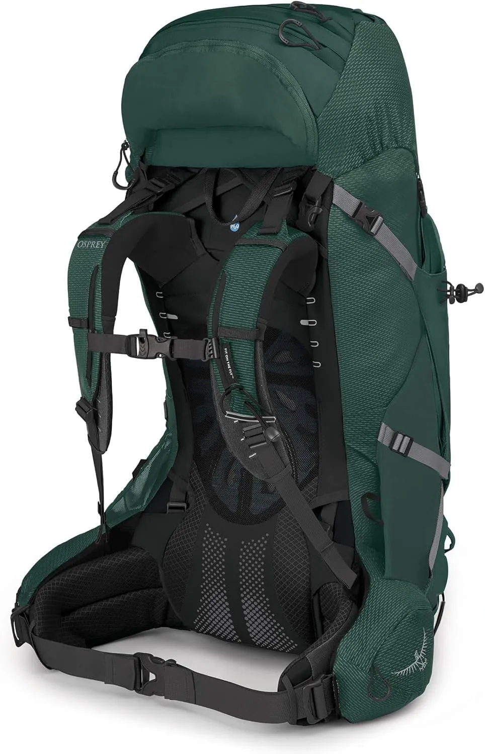 Osprey Aether Plus 60L Men's Backpacking Backpack, Axo Green, L/XL