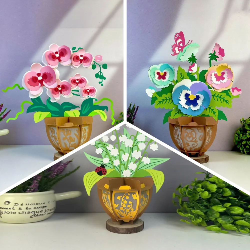 Pack 3 Different Flower Pot 3 - 3D Flower Pot Lantern File - Cricut File - LightBoxGoodMan