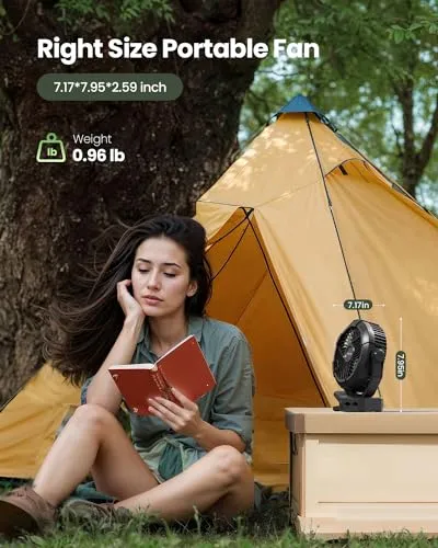 Portable Camping Fan w/ LED Lantern,360°Rotation & Clip on for Desk
