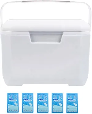Portable Cooler Box, 6L Insulated Hard Ice Box, Lightweight Leakproof Large Capacity Outdoor Camping Cooler with Heavy Duty Handle, Leakproof Design for Camping, Picnic, BBQ