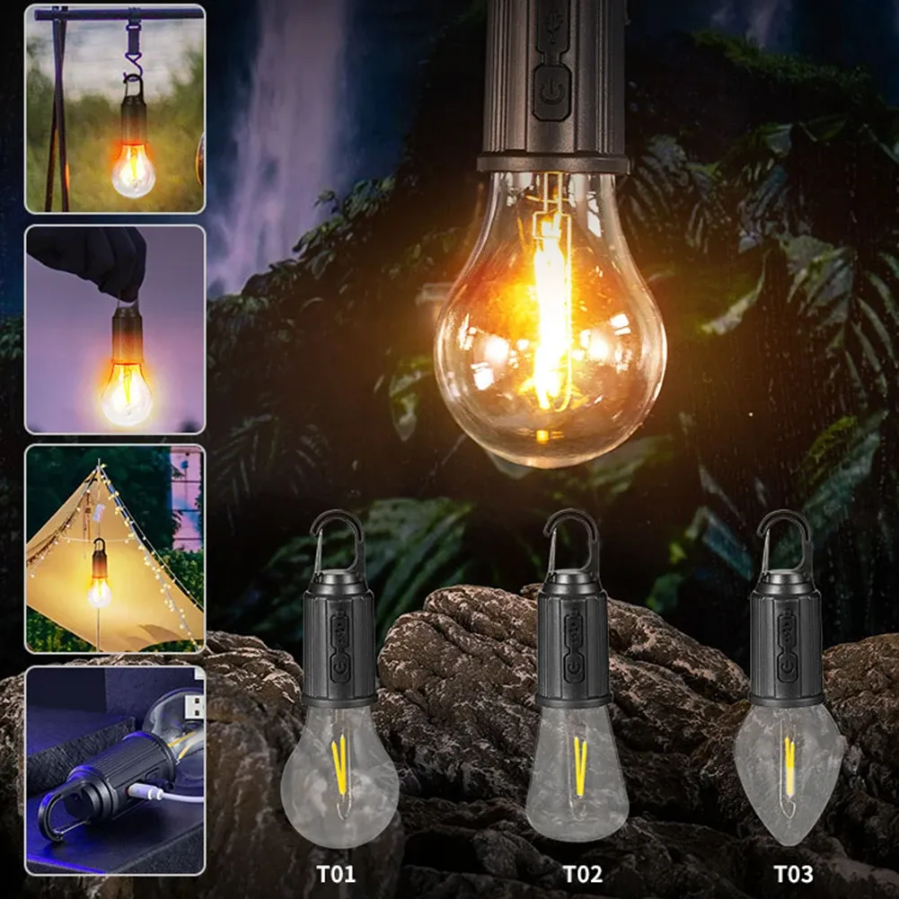 Portable light bulb