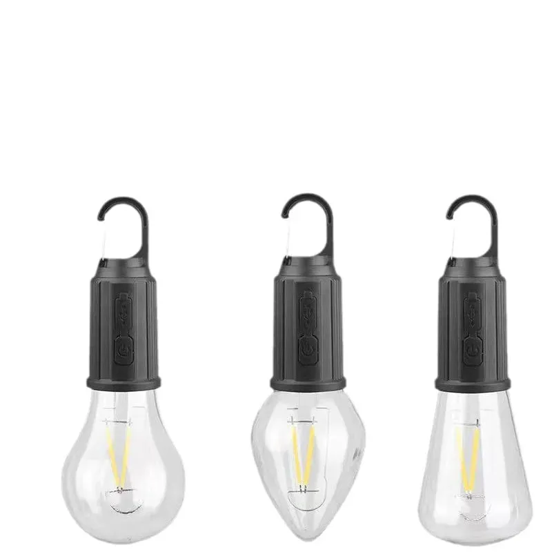 Portable light bulb
