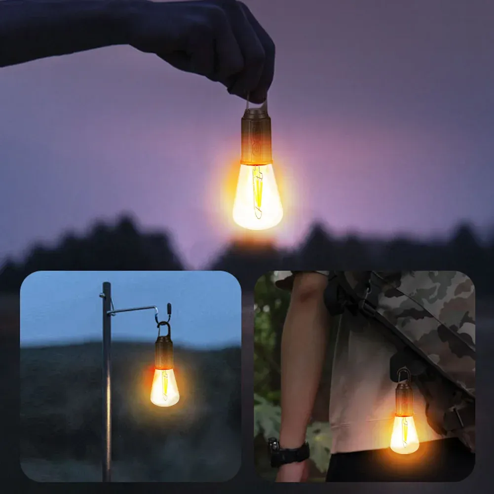 Portable light bulb