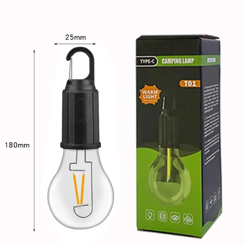 Portable light bulb