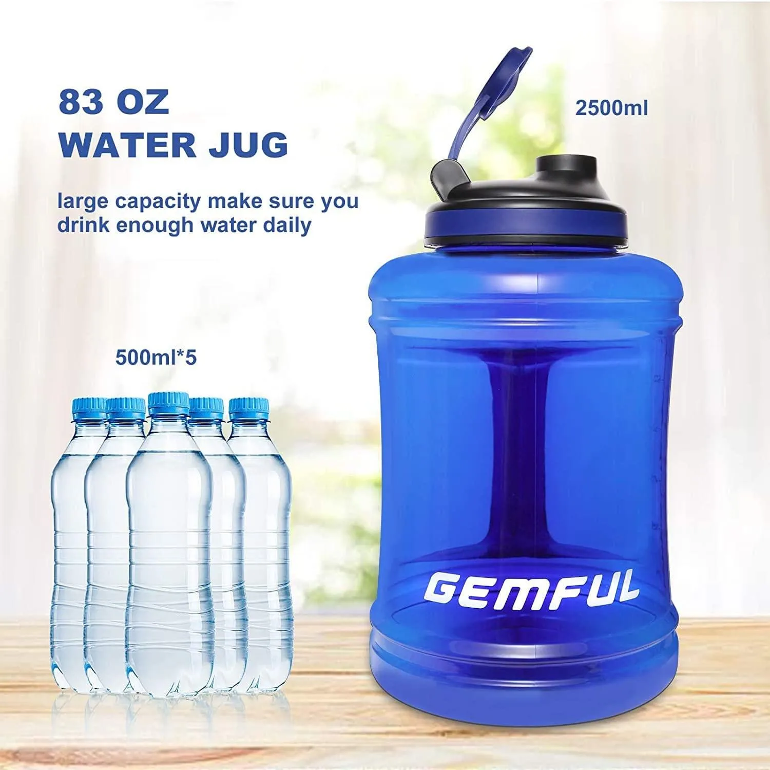 Sports Water Bottle Large 2.5L BPA-Free Drinking Big Jug