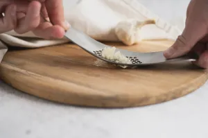Stainless Steel Garlic Crusher