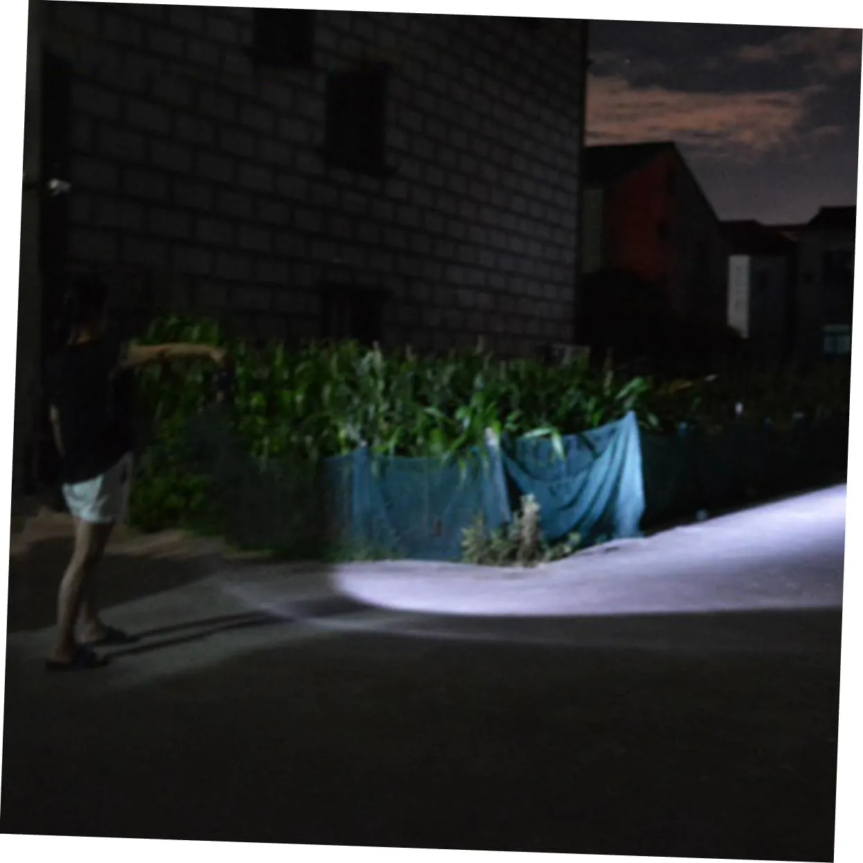 Work Light Outdoor Lanterns Handheld Flashlight Mini Flashlight Cob Spotlight Mini LED